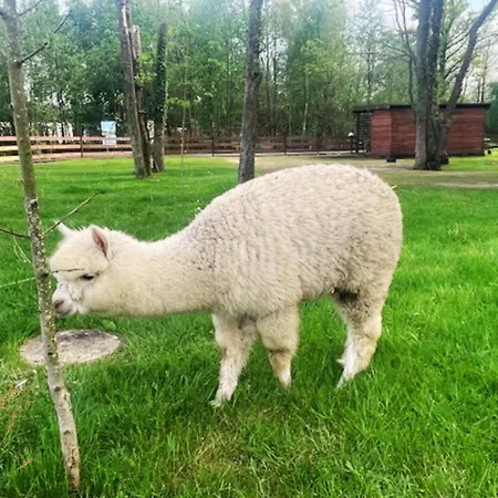Jaktstuga Baltic Park - Raj Dla Rodzin Z Dziecmi - Z 2 Sypialniami Atrakcje Dla Dzieci Niechorze