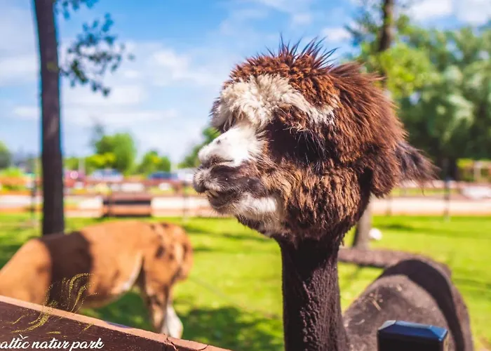Hytte Baltic Park - Raj Dla Rodzin Z Dziecmi - Z 2 Sypialniami Atrakcje Dla Dzieci *