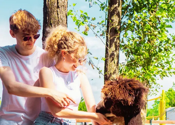 Hytte Baltic Park - Raj Dla Rodzin Z Dziecmi - Z 2 Sypialniami Atrakcje Dla Dzieci *